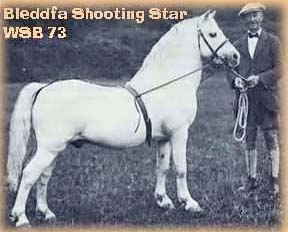 Bleddfa Shootingstar